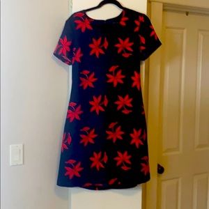 Beautiful lined dress with pockets